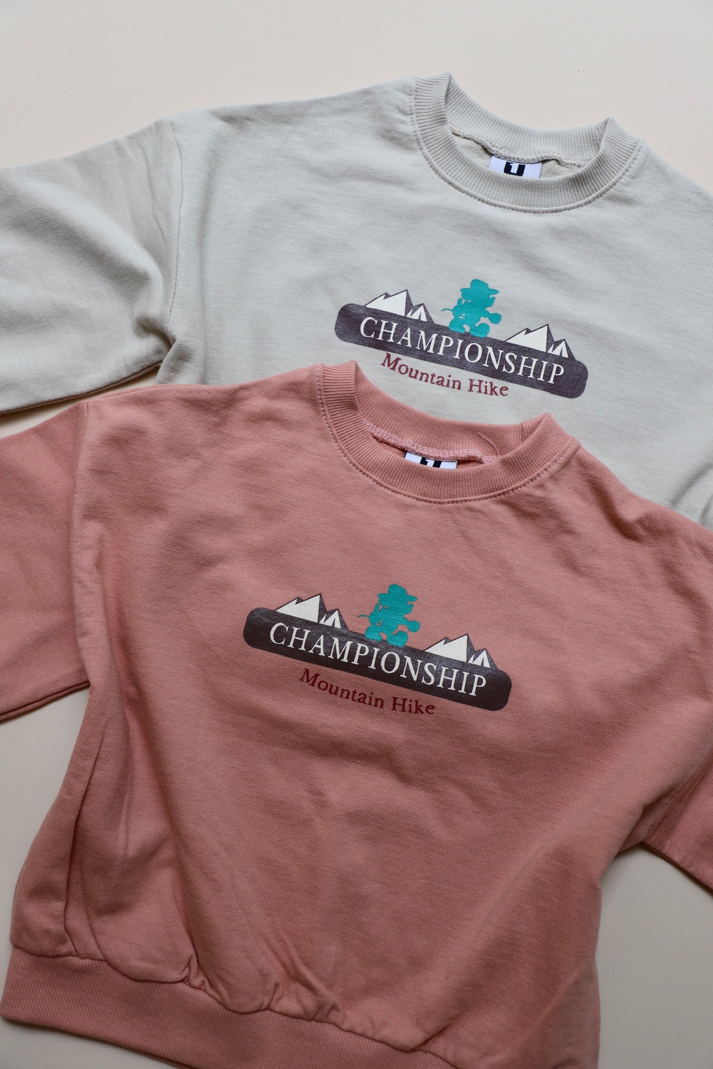 Camp Mickey Sweatshirt